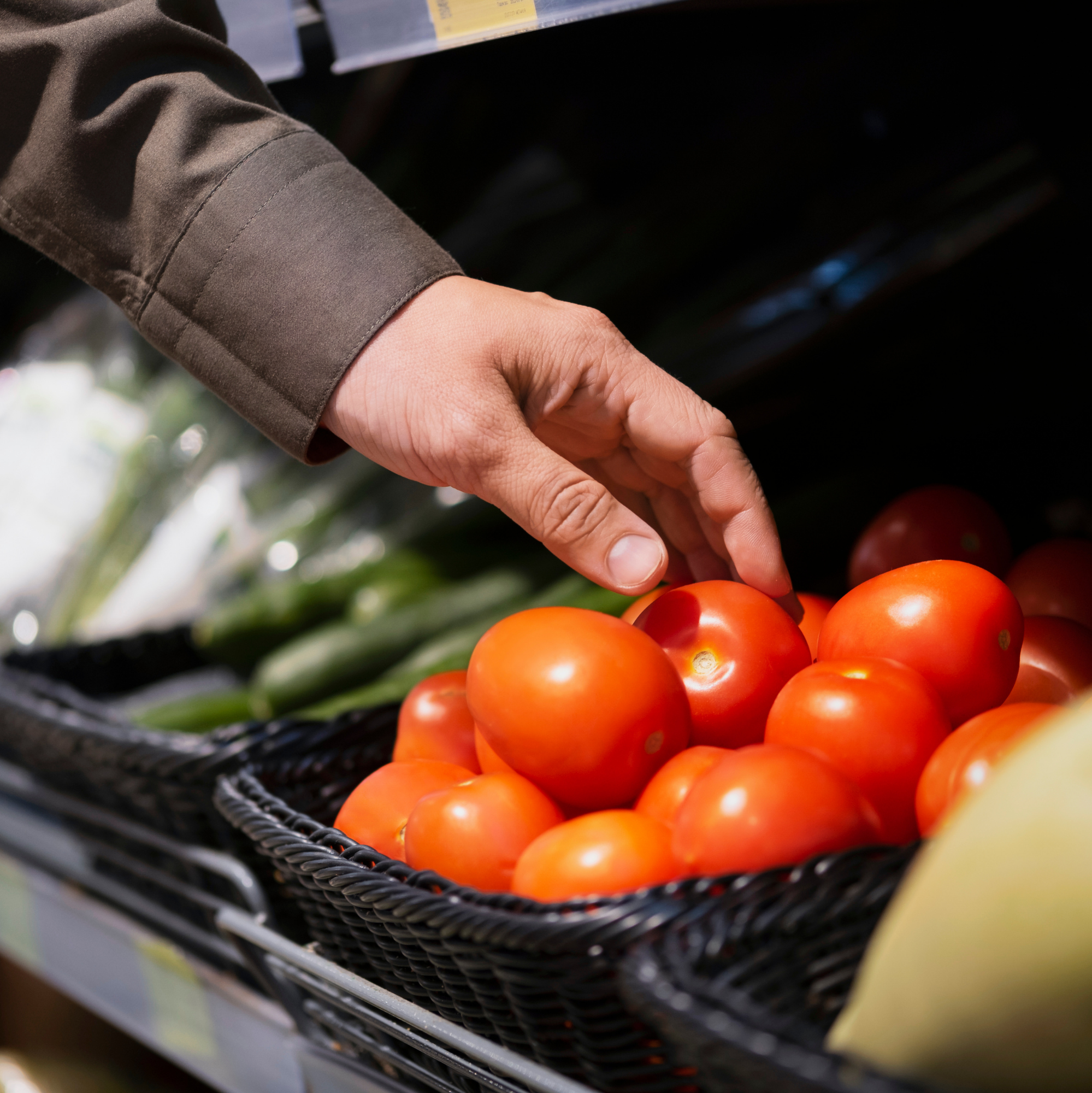 Ingenieros de Green Food Chile revisando campos